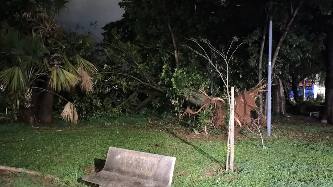 Foto 58 de 67 — TEMPORAL EM FOTOS: veja imagens de destruição em Araraquara